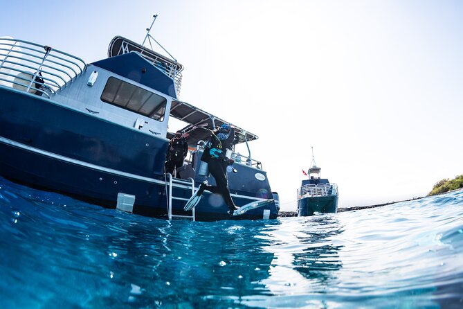Two Tank Morning Reef Dive and Snorkel - Kona’s Two-Tank Morning: what the 5 hours really feel like