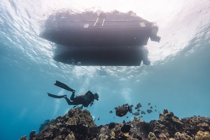 Two Tank Morning Reef Dive and Snorkel - Guides make the day: Mary, Calypso, Tara, and the pace question