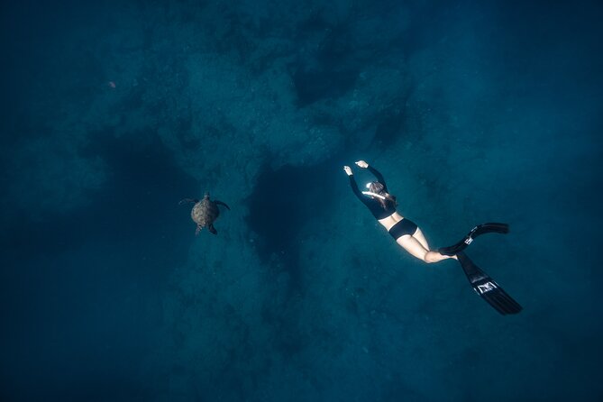 Two Tank Morning Reef Dive and Snorkel - Who should book this Kona reef morning (and who might skip)