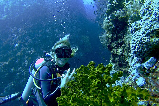 Two Tank Morning Scuba Dive - A 7-Diver-Top Cap Changes the Whole Experience