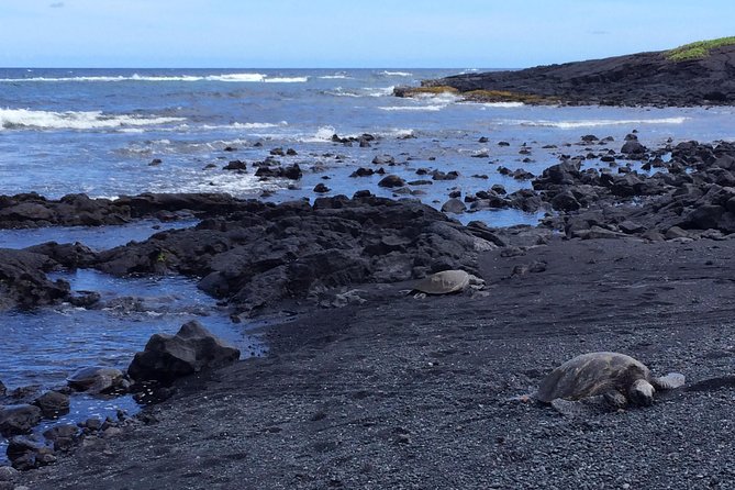 Ultimate Circle Island Explorer From Kona Or Kohala Resorts - Stop 1: Bay View Farm Kona coffee on the Mauna Loa slopes