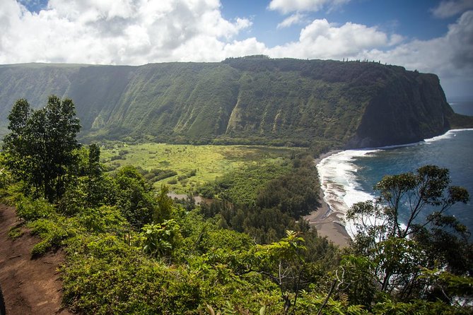 Ultimate Circle Island Explorer From Kona Or Kohala Resorts - Stop 2: Punalu’u Black Sand Beach and the honu chance