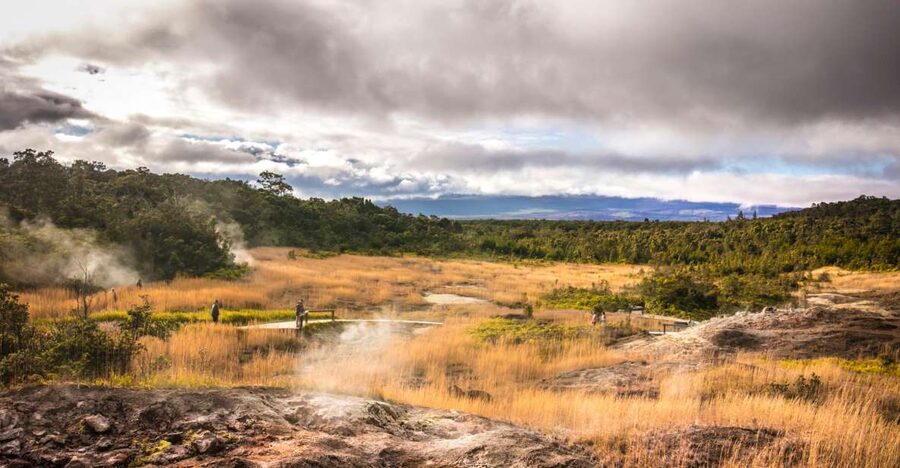 Ultimate National Park Tour from Waikoloa - Coffee on the slopes of Mauna Loa: Bay View Farm, views, and a real tasting