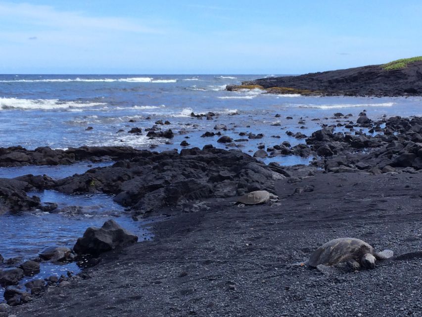 Ultimate National Park Tour from Waikoloa - Punalu’u Bake Shop and Naalehu: sweet breads, malasadas, and a quick local hit