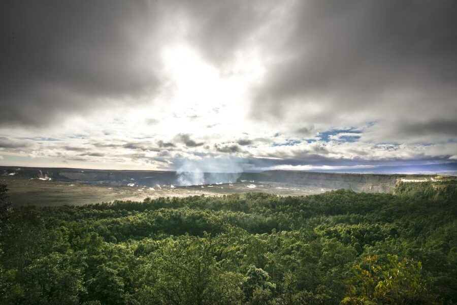 Ultimate National Park Tour from Waikoloa - South Kona road trip: lava-and-dry-forest views through the big windows