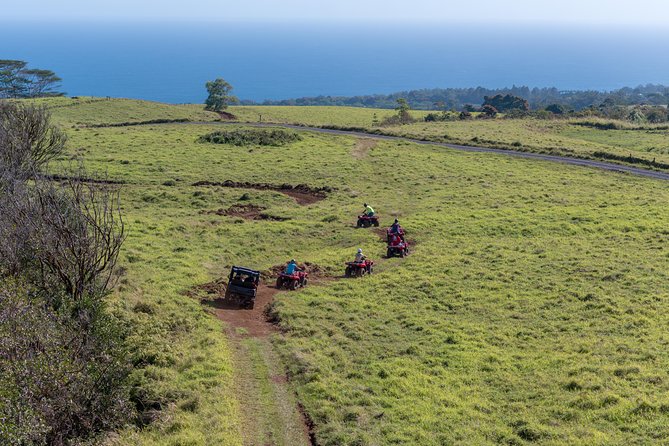 Umauma Falls Deluxe ATV Waterfall and Swim Experience - Automatic ATV or UTV lessons that help you get moving fast