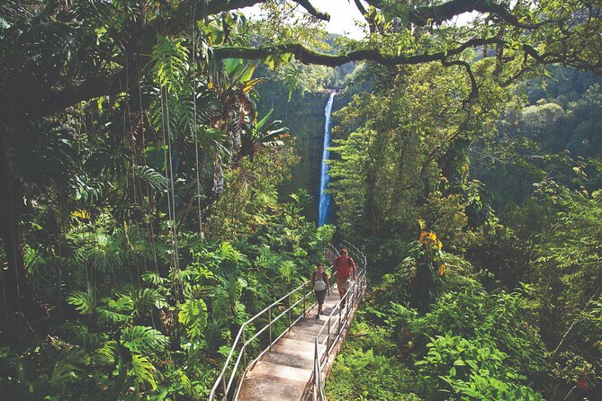 Volcano Adventure: Hilo Sightseeing w/ Optional Helicopter Tour - Starting in Hilo: banyan trees, easy pacing, and a real local vibe