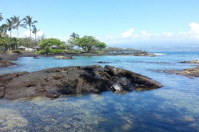 Volcano Adventure Tour & Waterfall - Shore Excursion from Hilo Harbor - Richardson Ocean Park black sand: where you might spot turtles