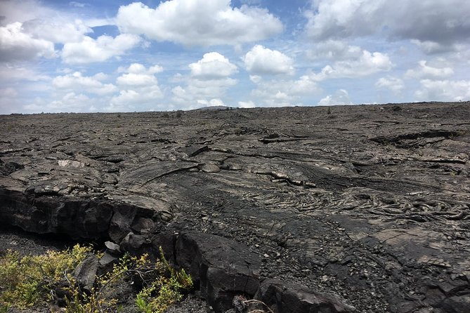 Volcano Adventure Tour & Waterfall - Shore Excursion from Hilo Harbor - Banyan trees and the King Kamehameha statue: quick culture stops that anchor the day