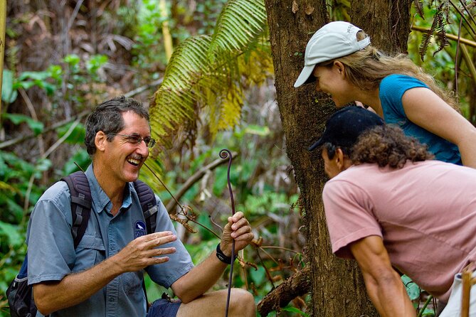 Volcano, Chocolate and Waterfalls of the Big Island - Stop 2 (Farm Time): Tree-to-Chocolate at a 1,000-Acre Tropical Farm