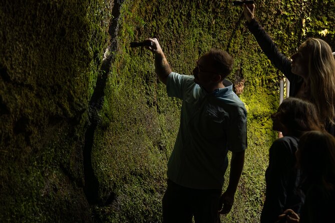 Volcano Explorer Tour - Price and inclusions: is $239 good value?