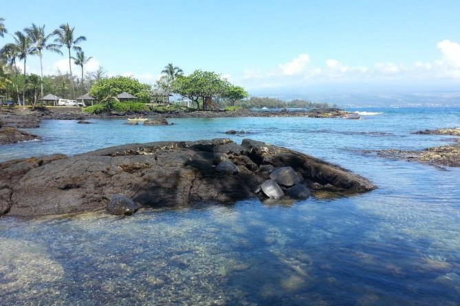 Volcanoes Adventure Tour from Hilo - Price and value: $189.99 for a guided day that strings spots together