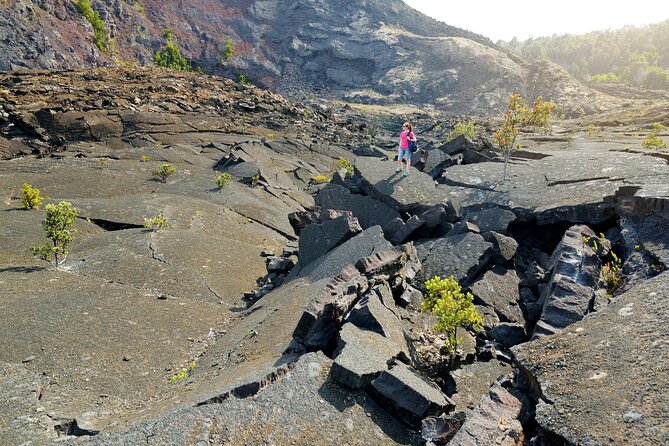 Volcanoes National Park: Guided, Small-Group Hike - What makes this Volcanoes National Park hike worth your half day