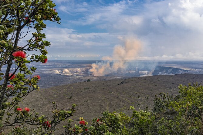 Volcanoes National Park: Guided, Small-Group Hike - Native Hawaiian forest: the mood shift you shouldn’t skip