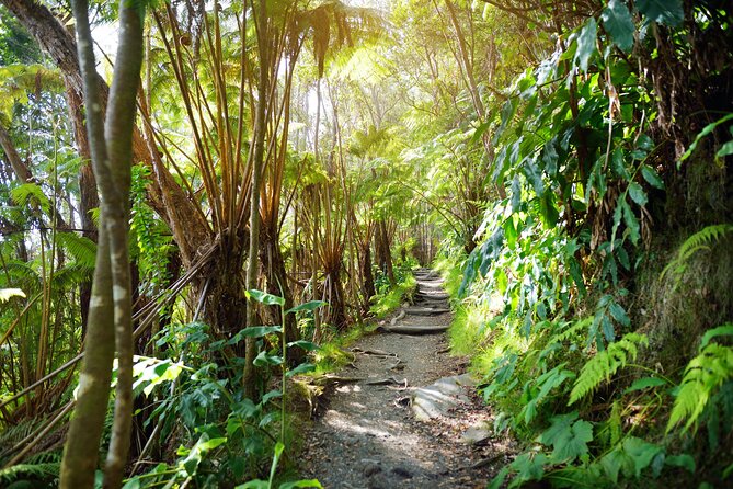 Volcanoes National Park: Guided, Small-Group Hike - Gear, trekking poles, and what moderate fitness really means