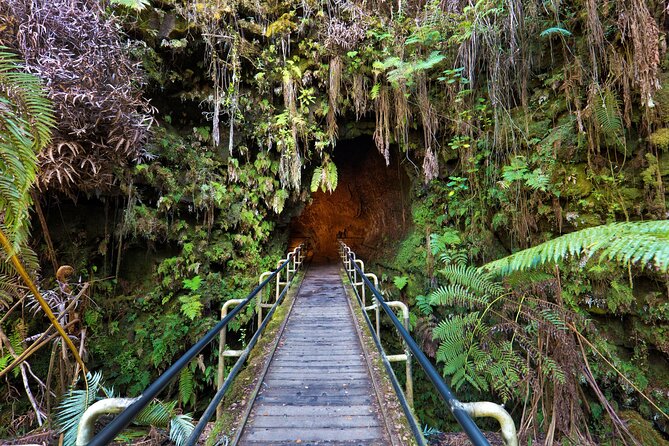 Volcanoes National Park: Guided, Small-Group Hike - Halemaʻumaʻu and Kīlauea Iki: walking where the ground explains itself