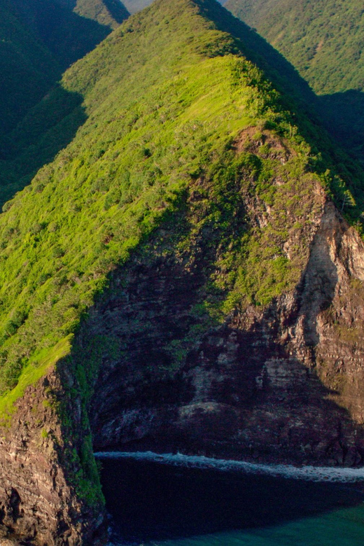 Waikoloa: Big Island Spectacular Helicopter Tour - Hamakua Coast rainforests and waterfalls from the air