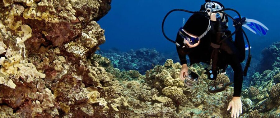 Waikoloa Catamaran Snorkel & Sail Adventure with Lunch - The catamaran advantage: comfortable sailing, not stressful logistics