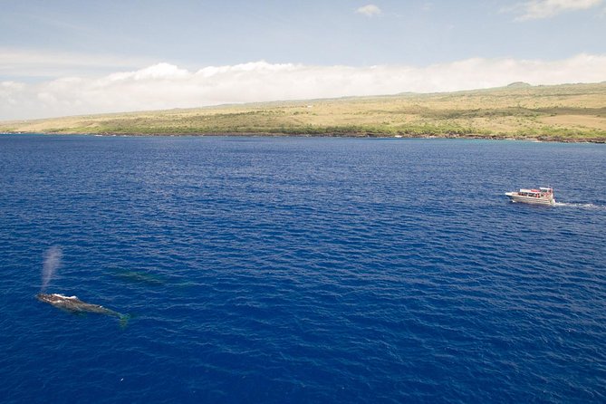 Waikoloa Deluxe Whale Watch - Clear-Day Bonus: Seeing the Island’s Tallest Volcanic Peaks