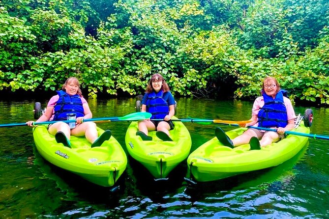 Wailoa River to King Kamehameha Statue Kayak Adventure - The view of Hilo you only get from water