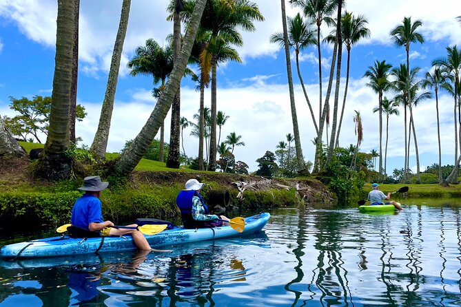 Wailoa River to King Kamehameha Statue Kayak Adventure - Starting at Hilo Ocean Adventures: where the trip really begins