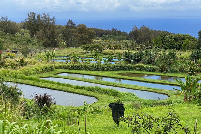 Waipi’o on Horseback: Mountain Ocean Views Working Cattle Ranch - What the 2-Hour Horseback Experience Feels Like