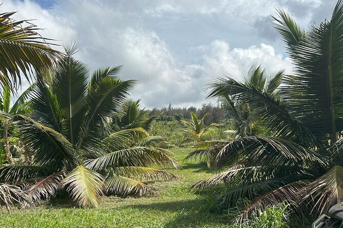 Waipi’o on Horseback: Mountain Ocean Views Working Cattle Ranch - Your Guide Makes the Difference (Micah, Nia, Patricia, and More)