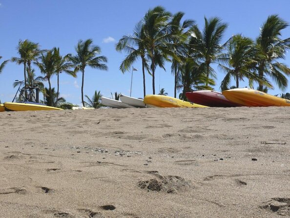 Wake Up With the Whales Cruise on Seasmoke - Key highlights before you go