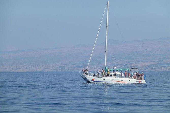 Wake Up With the Whales Cruise on Seasmoke - The hydrophone: hearing whales sing changes everything