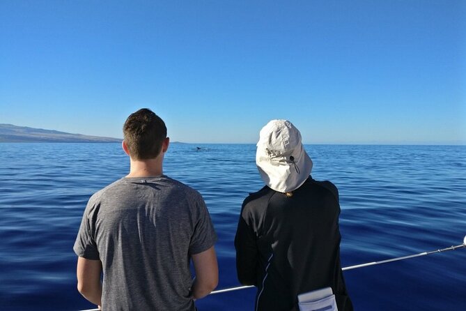 Wake Up With the Whales Cruise on Seasmoke - The crew and commentary that turns sightings into learning