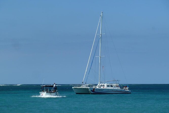 Wake Up With the Whales Cruise on Seasmoke - What wildlife you might see (besides the humpbacks)