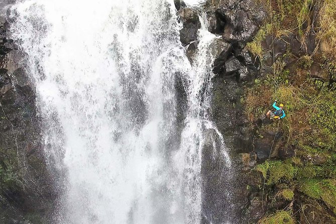 Waterfall Rappelling at Kulaniapia Falls: 120 Foot Drop, 15 Minutes from Hilo - Key highlights at Kulaniapia Falls
