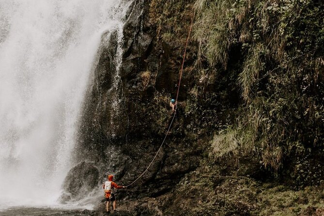 Waterfall Rappelling at Kulaniapia Falls: 120 Foot Drop, 15 Minutes from Hilo - Kulaniapia Falls access: more than just the descent