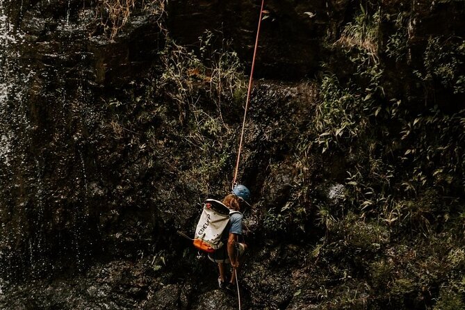 Waterfall Rappelling at Kulaniapia Falls: 120 Foot Drop, 15 Minutes from Hilo - Price and value: $279 for the rappel, plus add-ons