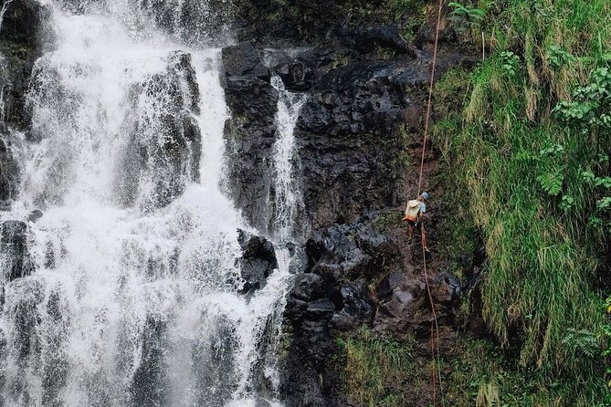 Waterfall Rappelling at Kulaniapia Falls: 120 Foot Drop, 15 Minutes from Hilo - Where you meet in Hilo, and how to get there