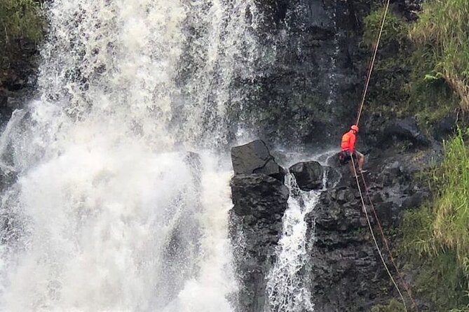 Waterfall Rappelling at Kulaniapia Falls: 120 Foot Drop, 15 Minutes from Hilo - Fitness, weight, and comfort: who should do it