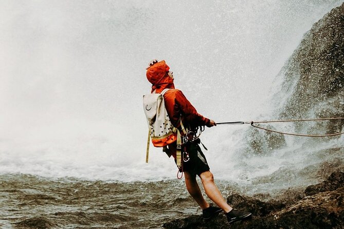 Waterfall Rappelling at Kulaniapia Falls: 120 Foot Drop, 15 Minutes from Hilo - What to wear: mosquitoes and getting wet