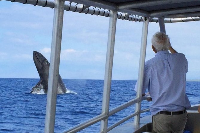 Whale Watching On The Big Island - The Boat Setup: Restroom, Snacks, and 48-Person Max Comfort